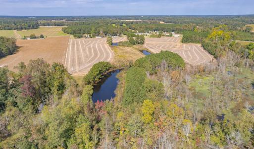 Photo #14 of SOLD property in Off Bailey Road , Fairmont, NC 29.0 acres