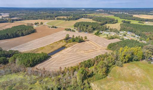 Photo #16 of SOLD property in Off Bailey Road , Fairmont, NC 29.0 acres
