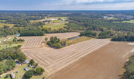 Photo #17 of Off Bailey Road , Fairmont, NC 29.0 acres