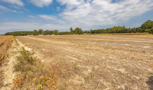 Photo #20 of Off Bailey Road , Fairmont, NC 29.0 acres