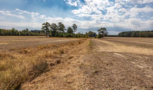 Photo #22 of Off Bailey Road , Fairmont, NC 29.0 acres