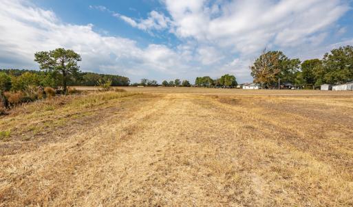 Photo #23 of SOLD property in Off Bailey Road , Fairmont, NC 29.0 acres