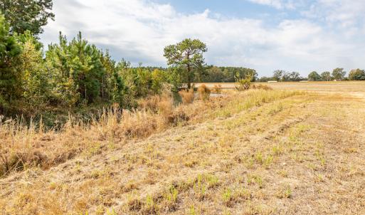 Photo #24 of Off Bailey Road , Fairmont, NC 29.0 acres