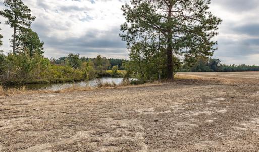 Photo #25 of Off Bailey Road , Fairmont, NC 29.0 acres