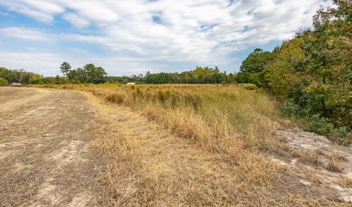 Photo #26 of Off Bailey Road , Fairmont, NC 29.0 acres