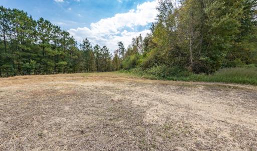 Photo #27 of SOLD property in Off Bailey Road , Fairmont, NC 29.0 acres