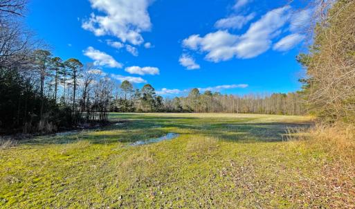 Photo #11 of SOLD property in 7362 Colonial Trail East, Surry, VA 23883 / Surry County, Surry, VA 22.4 acres