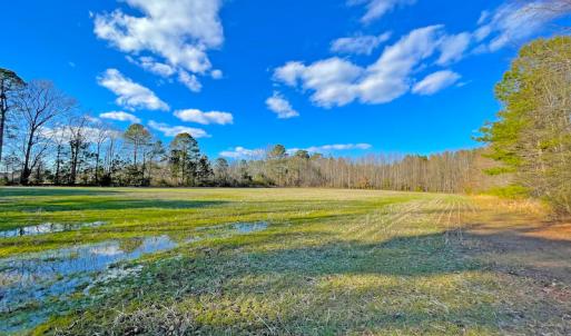 Photo #12 of SOLD property in 7362 Colonial Trail East, Surry, VA 23883 / Surry County, Surry, VA 22.4 acres