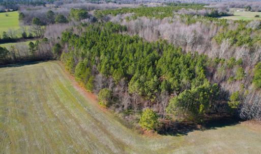 Photo #13 of SOLD property in 7362 Colonial Trail East, Surry, VA 23883 / Surry County, Surry, VA 22.4 acres