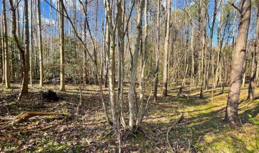 Photo #14 of SOLD property in 7362 Colonial Trail East, Surry, VA 23883 / Surry County, Surry, VA 22.4 acres