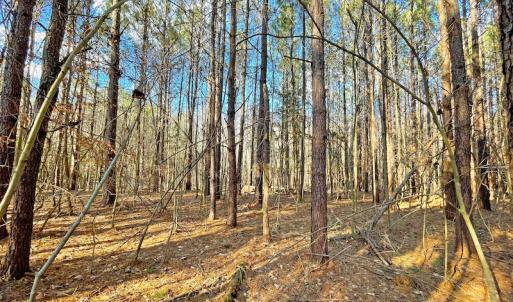 Photo #16 of SOLD property in 7362 Colonial Trail East, Surry, VA 23883 / Surry County, Surry, VA 22.4 acres