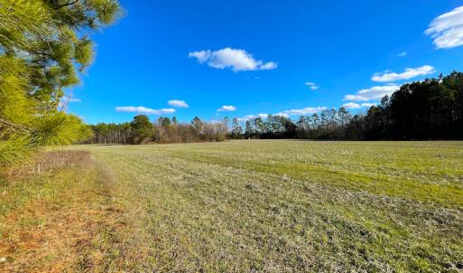 Photo #19 of SOLD property in 7362 Colonial Trail East, Surry, VA 23883 / Surry County, Surry, VA 22.4 acres