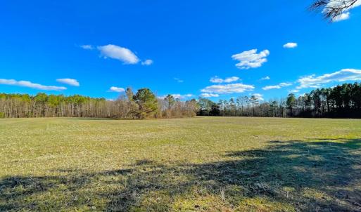 Photo #20 of SOLD property in 7362 Colonial Trail East, Surry, VA 23883 / Surry County, Surry, VA 22.4 acres