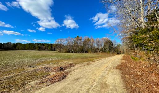 Photo #6 of SOLD property in 7362 Colonial Trail East, Surry, VA 23883 / Surry County, Surry, VA 22.4 acres
