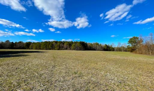 Photo #8 of SOLD property in 7362 Colonial Trail East, Surry, VA 23883 / Surry County, Surry, VA 22.4 acres