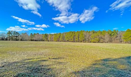 Photo #9 of SOLD property in 7362 Colonial Trail East, Surry, VA 23883 / Surry County, Surry, VA 22.4 acres