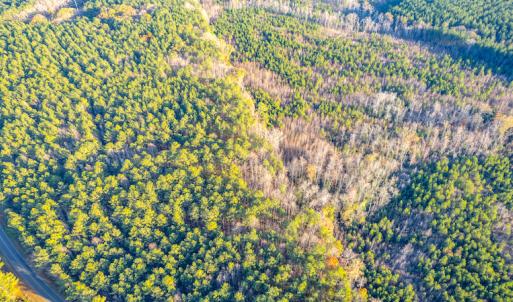 Photo #11 of Off Country Club Lane , Warrenton, NC 62.0 acres