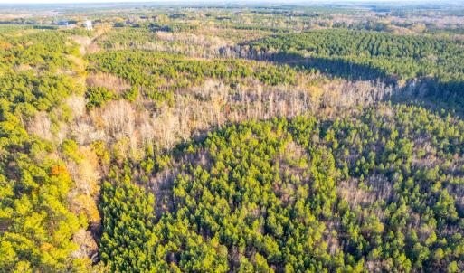 Photo #13 of Off Country Club Lane , Warrenton, NC 62.0 acres