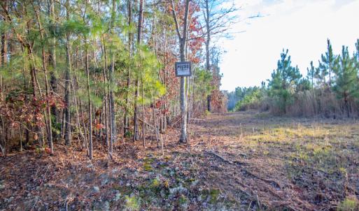 Photo #14 of SOLD property in Off Country Club Lane , Warrenton, NC 62.0 acres