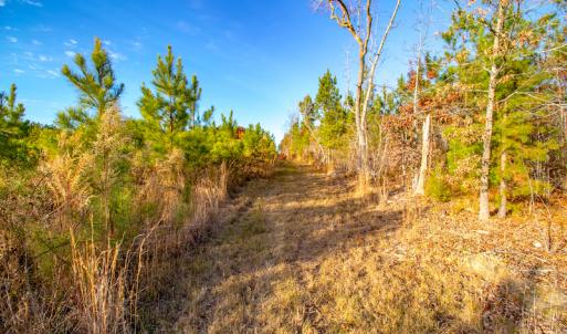 Photo #16 of Off Country Club Lane , Warrenton, NC 62.0 acres