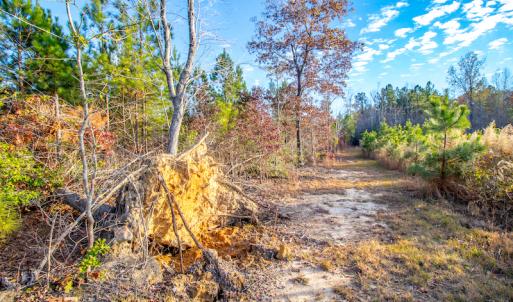 Photo #17 of Off Country Club Lane , Warrenton, NC 62.0 acres