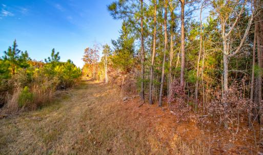 Photo #18 of SOLD property in Off Country Club Lane , Warrenton, NC 62.0 acres