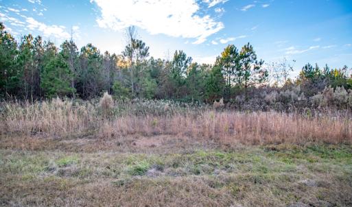 Photo #19 of SOLD property in Off Country Club Lane , Warrenton, NC 62.0 acres