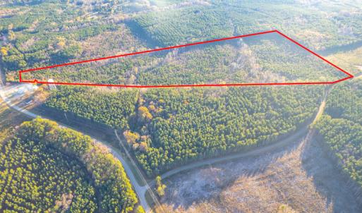 Photo #3 of Off Country Club Lane , Warrenton, NC 62.0 acres