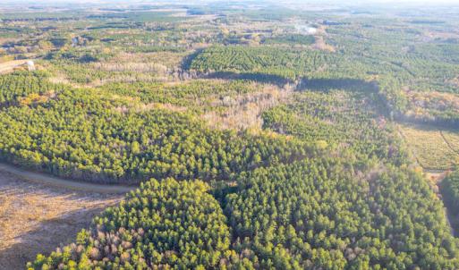 Photo #4 of Off Country Club Lane , Warrenton, NC 62.0 acres