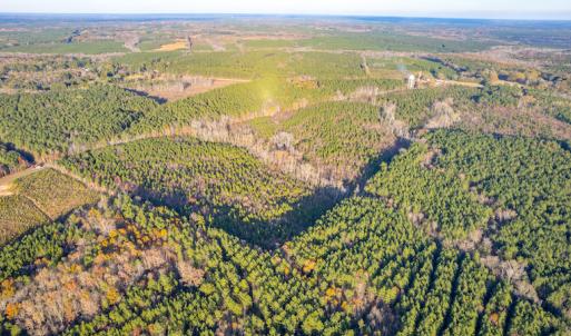 Photo #7 of Off Country Club Lane , Warrenton, NC 62.0 acres