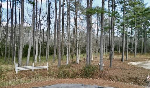 Photo #11 of SOLD property in Lot 140 Mockernut Ln, Washington, NC 4.1 acres