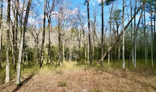 Photo #12 of SOLD property in Lot 140 Mockernut Ln, Washington, NC 4.1 acres