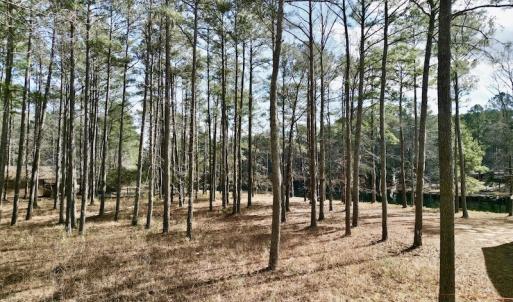 Photo #13 of SOLD property in Lot 140 Mockernut Ln, Washington, NC 4.1 acres