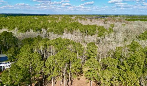 Photo #2 of SOLD property in Lot 140 Mockernut Ln, Washington, NC 4.1 acres