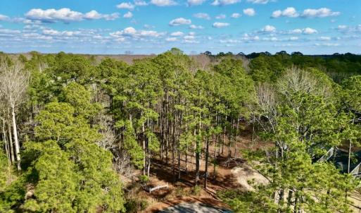 Photo #3 of SOLD property in Lot 140 Mockernut Ln, Washington, NC 4.1 acres