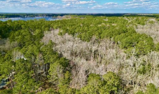 Photo #4 of SOLD property in Lot 140 Mockernut Ln, Washington, NC 4.1 acres