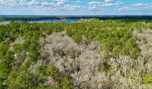 Photo #5 of SOLD property in Lot 140 Mockernut Ln, Washington, NC 4.1 acres