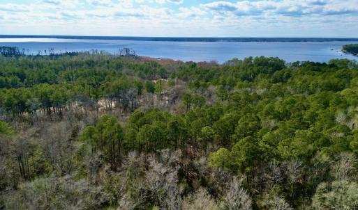 Photo #7 of SOLD property in Lot 140 Mockernut Ln, Washington, NC 4.1 acres
