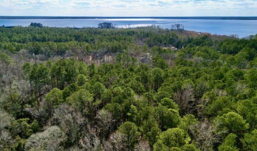 Photo #8 of SOLD property in Lot 140 Mockernut Ln, Washington, NC 4.1 acres