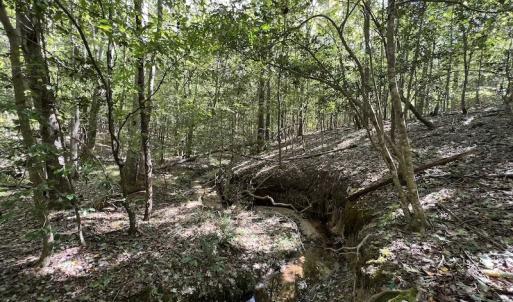 Photo #9 of SOLD property in Off Lunbar Court, Kittrell, NC 65.7 acres