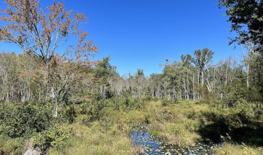 Photo #17 of SOLD property in Off Lunbar Court, Kittrell, NC 65.7 acres
