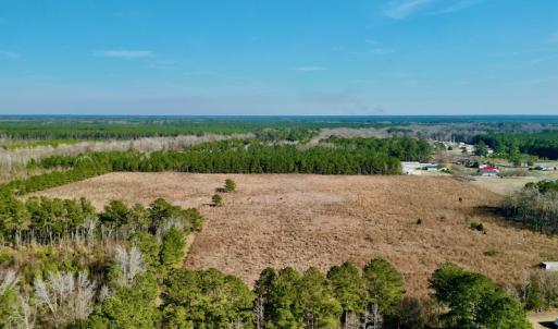 Photo #11 of SOLD property in 4345 Shiloh Rd, Watha, NC 75.0 acres