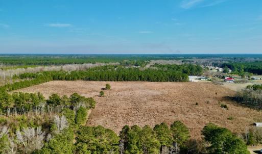 Photo #11 of SOLD property in 4345 Shiloh Rd, Watha, NC 75.0 acres