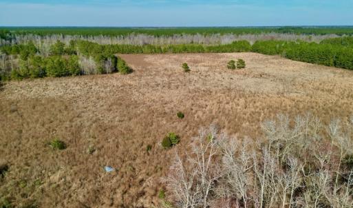 Photo #13 of SOLD property in 4345 Shiloh Rd, Watha, NC 75.0 acres