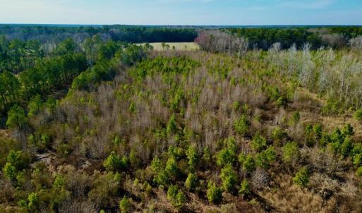 Photo #15 of SOLD property in 4345 Shiloh Rd, Watha, NC 75.0 acres