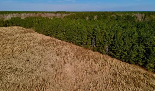Photo #19 of SOLD property in 4345 Shiloh Rd, Watha, NC 75.0 acres