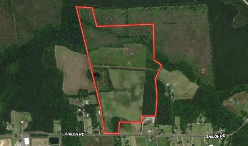 Photo #1 of SOLD property in 4345 Shiloh Rd, Watha, NC 75.0 acres
