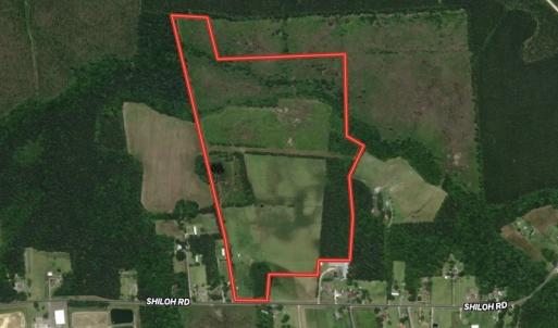 Photo #1 of SOLD property in 4345 Shiloh Rd, Watha, NC 75.0 acres