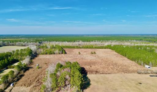 Photo #2 of SOLD property in 4345 Shiloh Rd, Watha, NC 75.0 acres