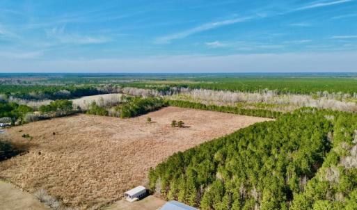 Photo #3 of SOLD property in 4345 Shiloh Rd, Watha, NC 75.0 acres